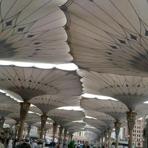 Meet your Posher, Aminah